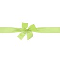 EOT_bow02