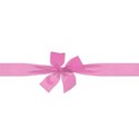 EOT_bow06