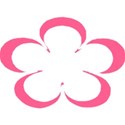 shape16