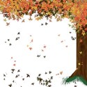 fall_tree2