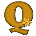 Q