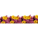 floral_band_1