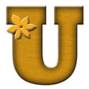 U