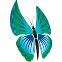 butterfly3