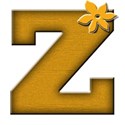 Z