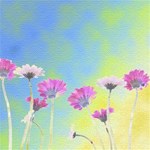 flower backgrounds