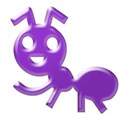 purple ant