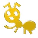 yellow ant