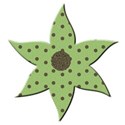 flower6