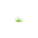 grass