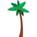 palm