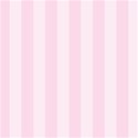 bg05