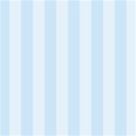 bg08