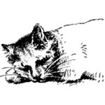 pets pets