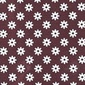 brown and white daisies