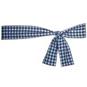 jss_awayinamanger_ribbon wrap blue