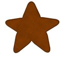 jss_christmascookies_gingerbread star