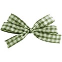 jss_letstalkturkey_gingham bow green