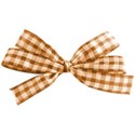 jss_letstalkturkey_gingham bow orange