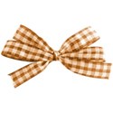 jss_letstalkturkey_gingham bow orange