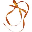 jss_letstalkturkey_looped ribbon orange