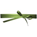 jss_letstalkturkey_photo wrap green