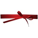 jss_letstalkturkey_photo wrap red