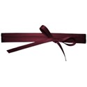 jss_letstalkturkey_photo wrap purple