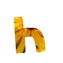 letterh