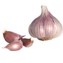 Garlic 1