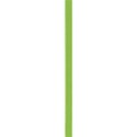 _titched ribbon light green
