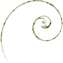 flourishgreen