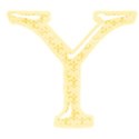 Y
