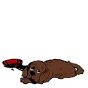 dog 1