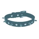 dog collar 2