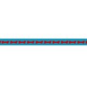 ribbon 1