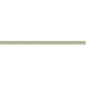 bordergreen