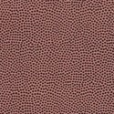 Chocolate Brown Holes
