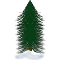 tree5