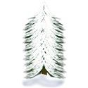 tree7