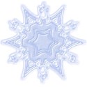 snowflake5