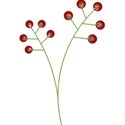 berries