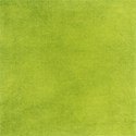 lisaminor_aatb_paper_e