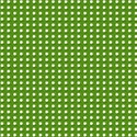 white_flower_in_green2