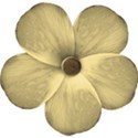 beige rustic flower