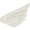 wing3_ethan_mikki_livanos