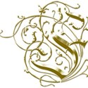 FDS