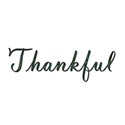 SChua_ImThankful_Element_thankful copy