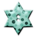 button_005_teal star