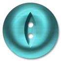 button_007_teal12